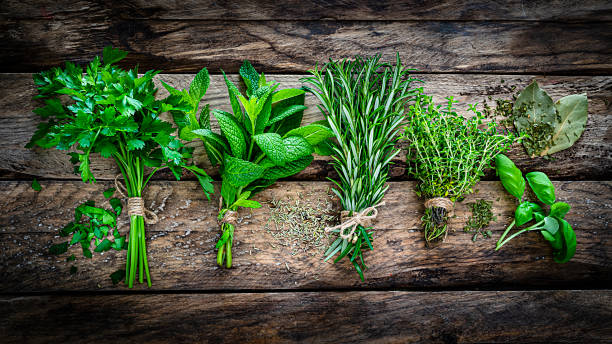 The Emotional Power of Scent: How Aromas Trigger Memories and Shape Moods